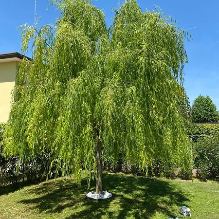 Holiday home Gondola House